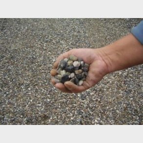 rtesten/Perlesten 8/16